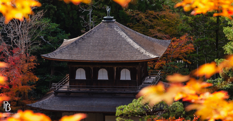 Distant Places: Japan Photo Exhibition